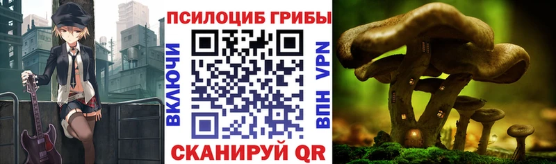 Псилоцибиновые грибы мицелий  Благовещенск 